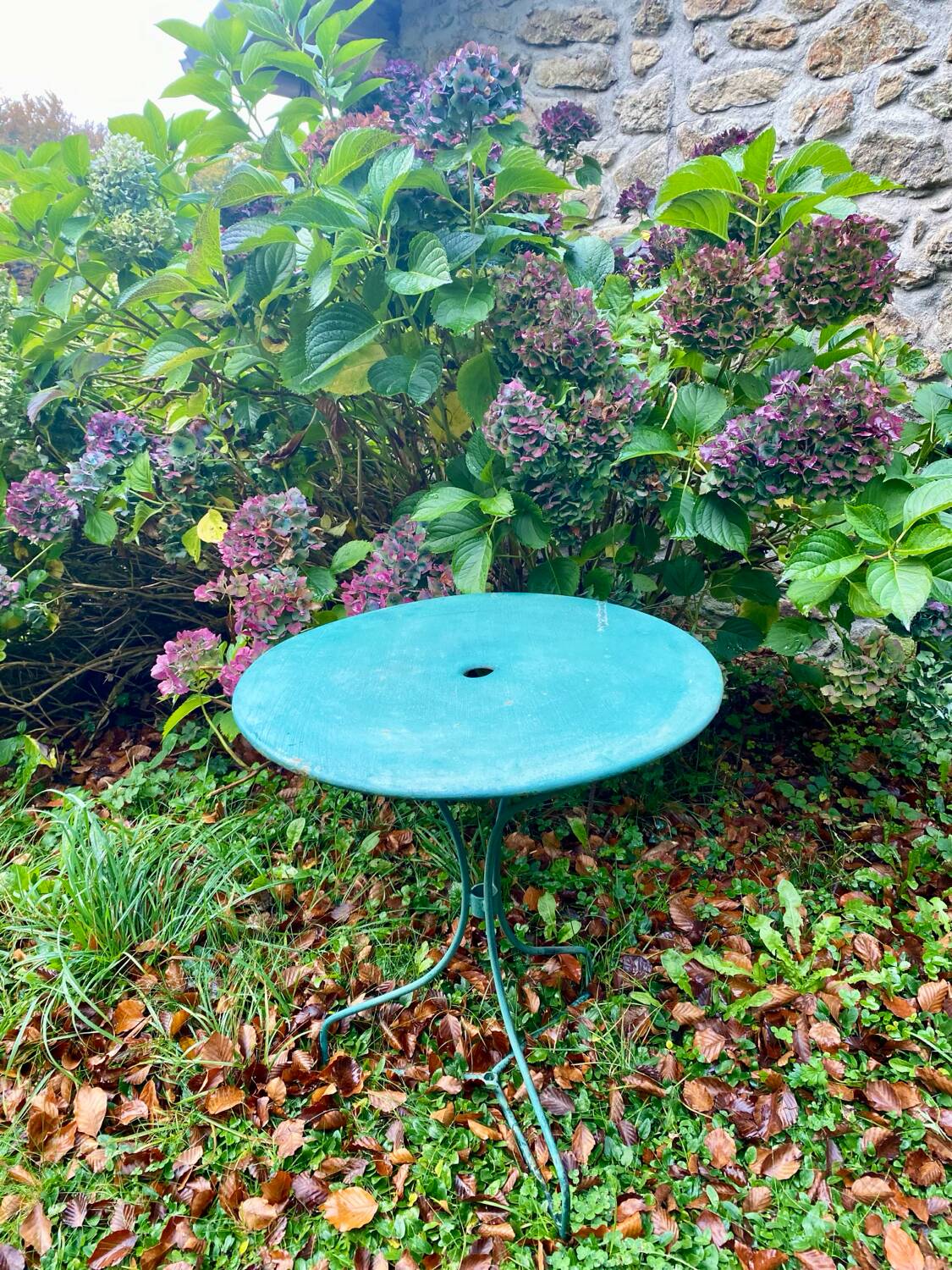 Table de jardin vintage verte