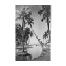 Photo child climbing a palm tree in Tahiti. year 50 40x60cm format