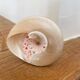 Petit coquillage : Trochus