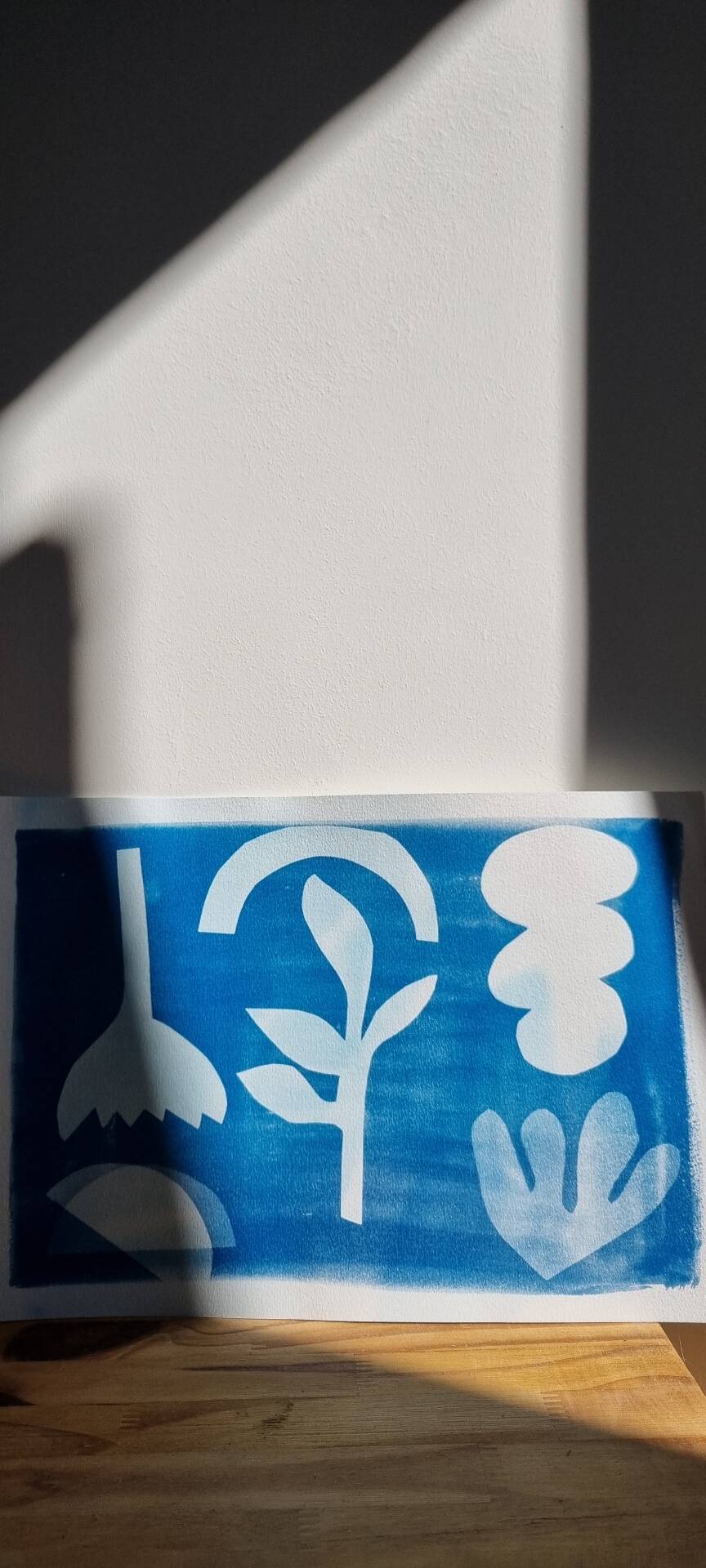 Graphical cyanotype