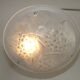 French Art Deco Ceiling Light ROS Degue Frosted Molded Glass Plafonnier