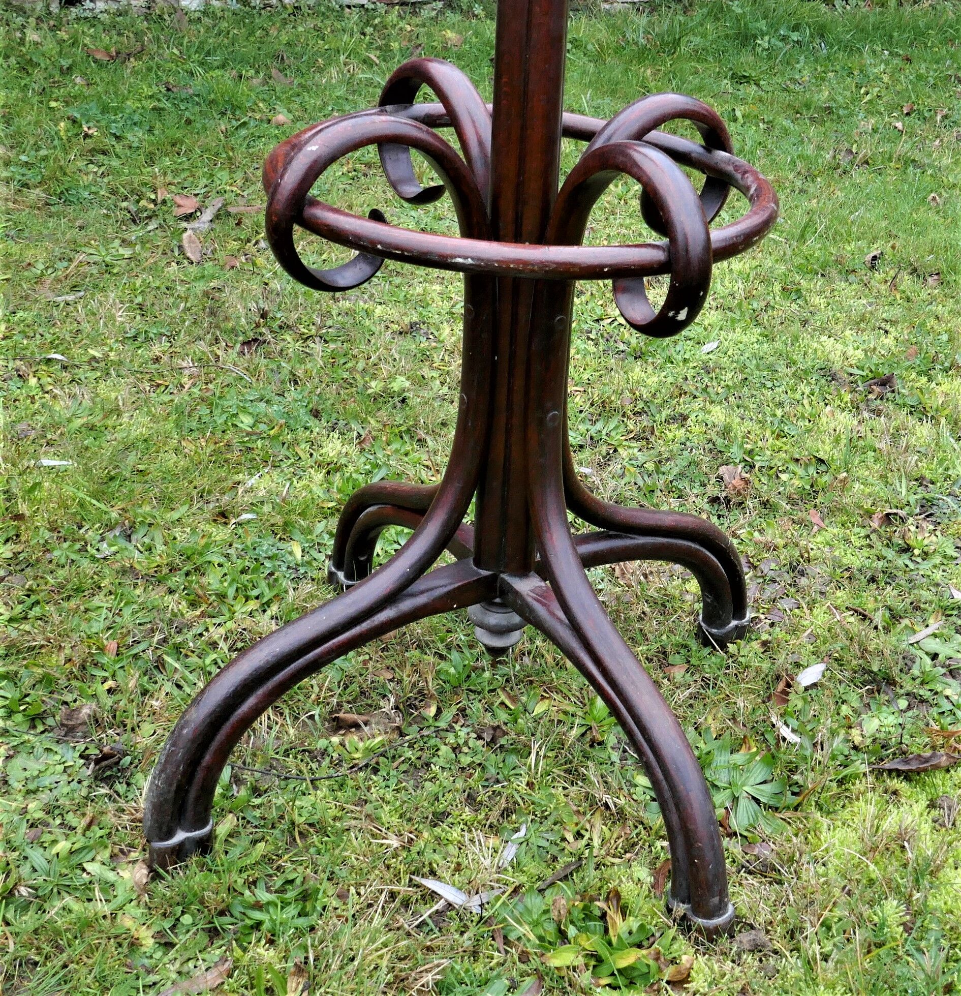 Old bistro parrot coat holder