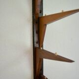 Vintage Rosewood Shelves By Poul Cadovius, 1969