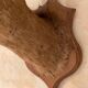 Taxidermy doe head deer deer hunting trophy
