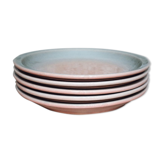 Lot de 5 assiettes creuses céramique dégradé rose/bleu