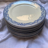 Set of flat blue plates