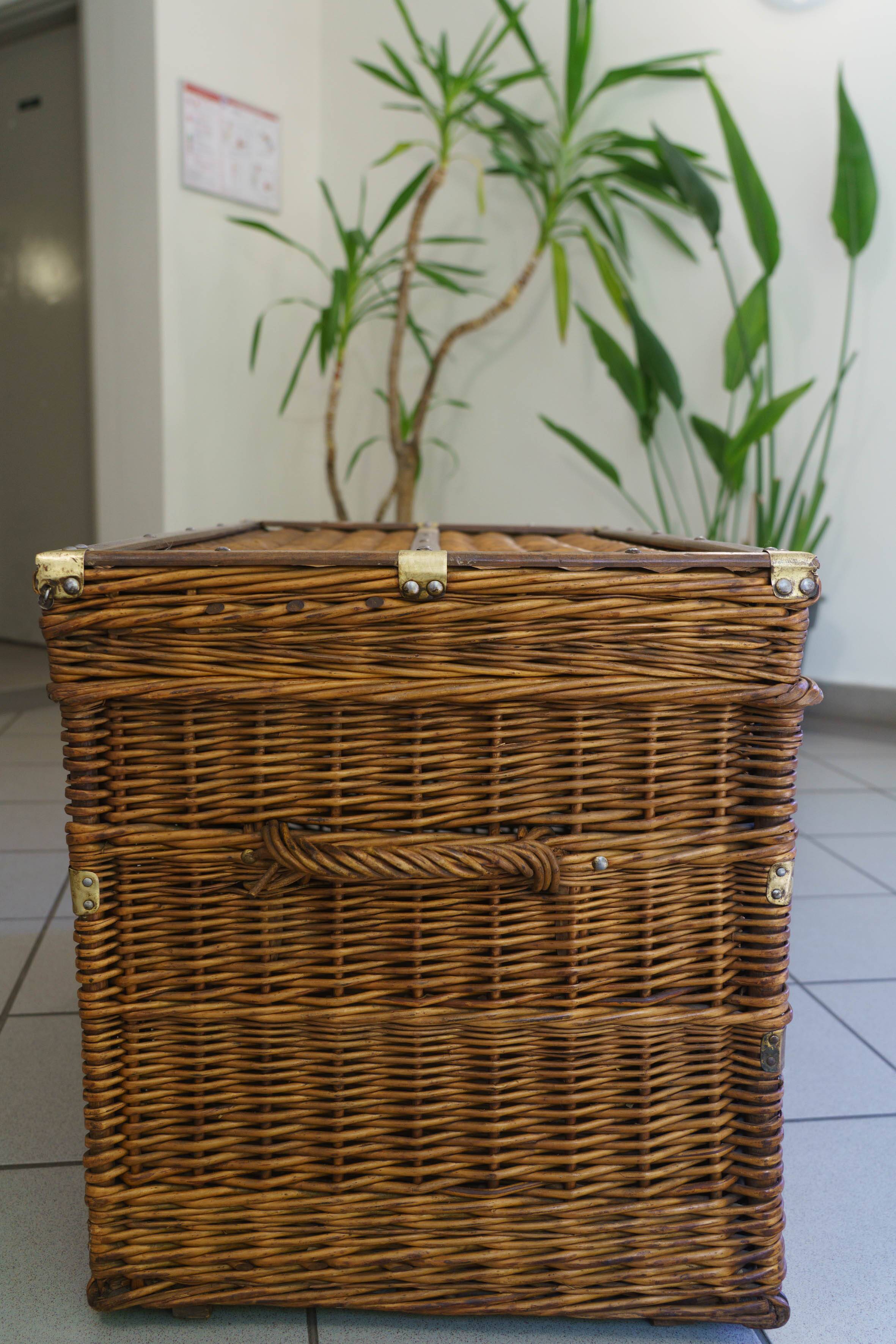 early 20th century wicker trunk