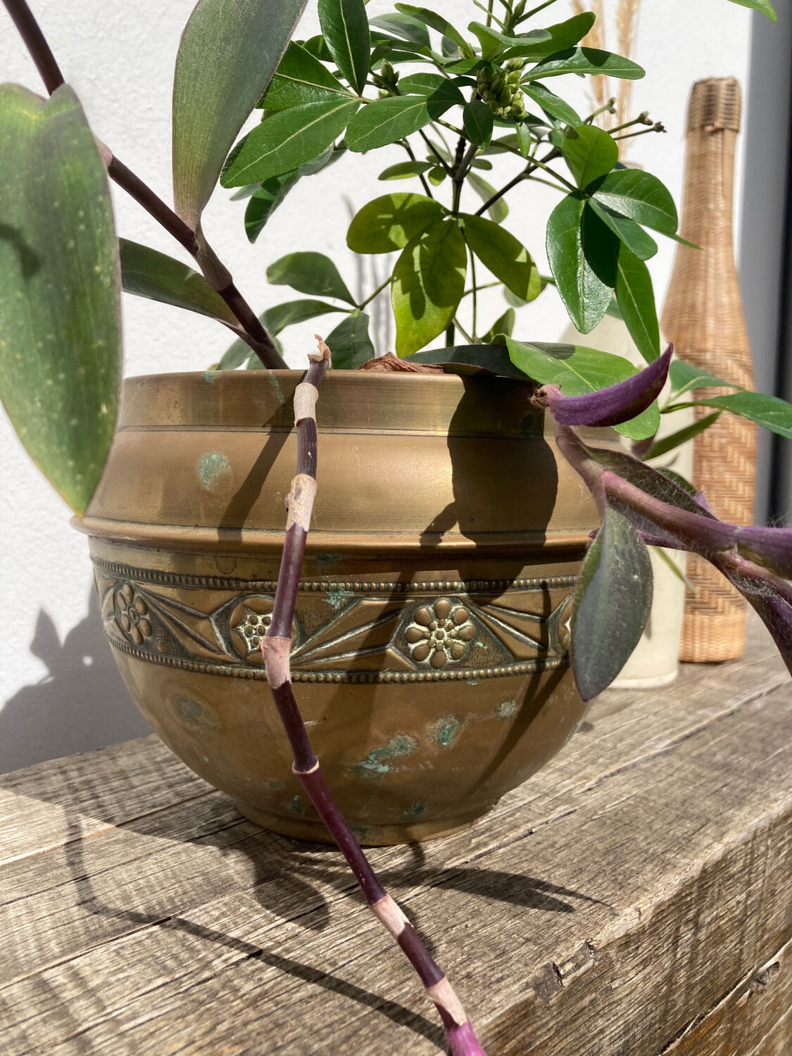 Pot cover in brass chiseled 1960 art nouveau