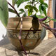 Pot cover in brass chiseled 1960 art nouveau