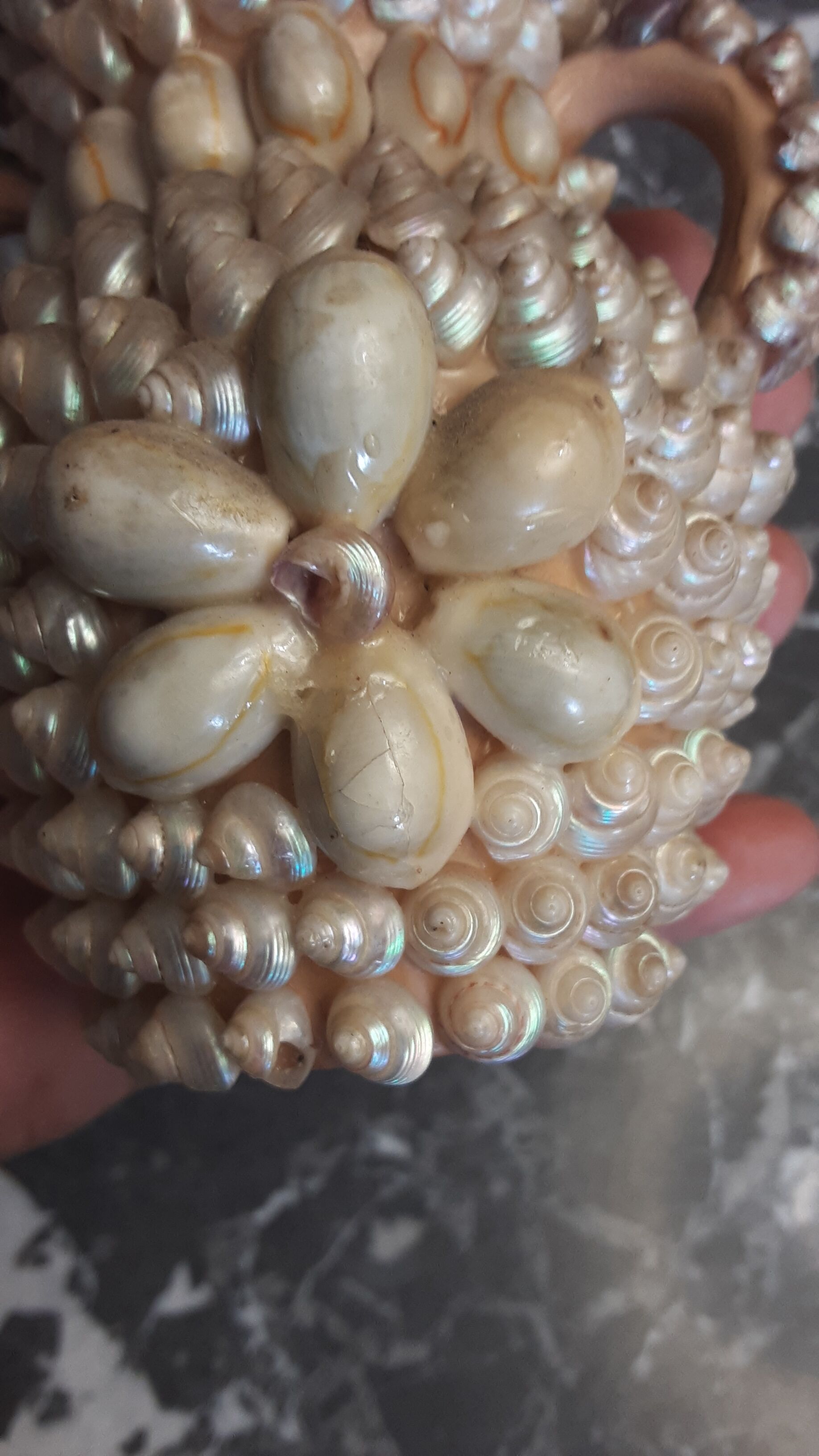 Vase terracotta shells - year 70