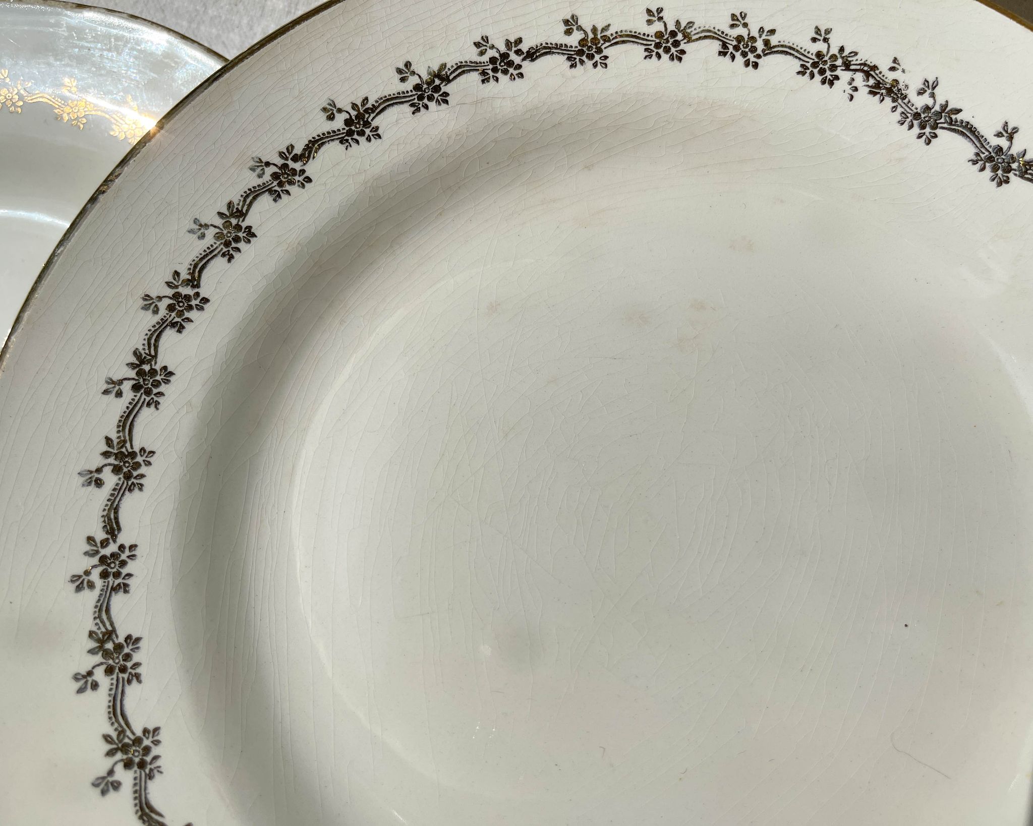 6 opaque porcelain dinner plates, Digoin model "Suzy"