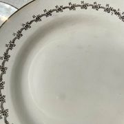 6 opaque porcelain dinner plates, Digoin model "Suzy"