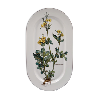 Plat ovale Villeroy et Boch botanica grande chélidoine