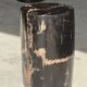 Small side table in black petrified wood with stripes and beige bottom H28.