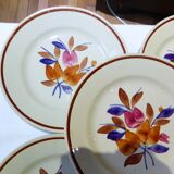 5 assiettes plates