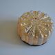 Ceiling or wall light circa 1950-1960