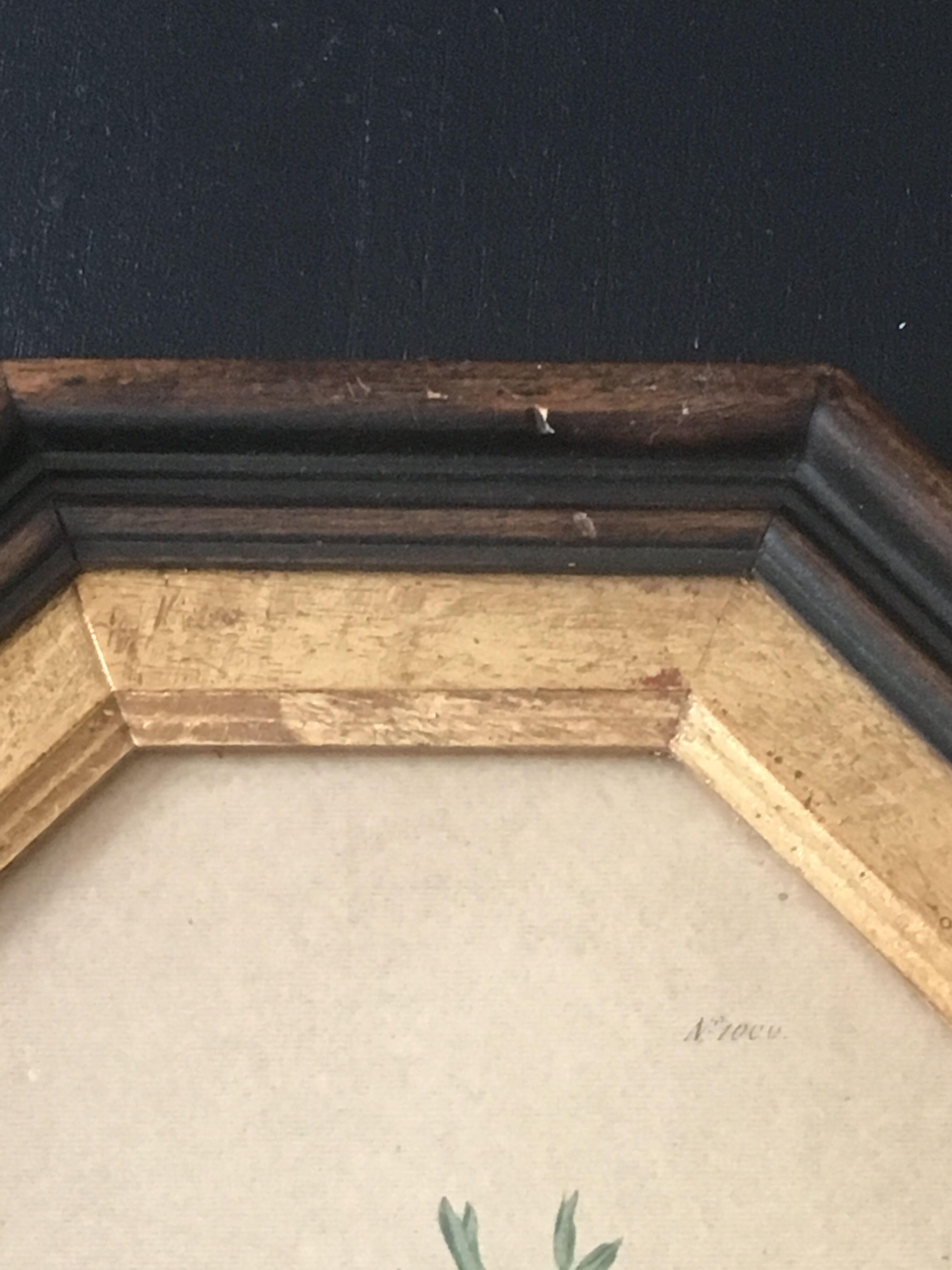 Curtis Walworth's 1813 botanical frame