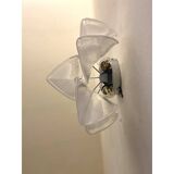 Set of Two "Rondini" Murano Glass Wall Sconces in Mazzega Style
