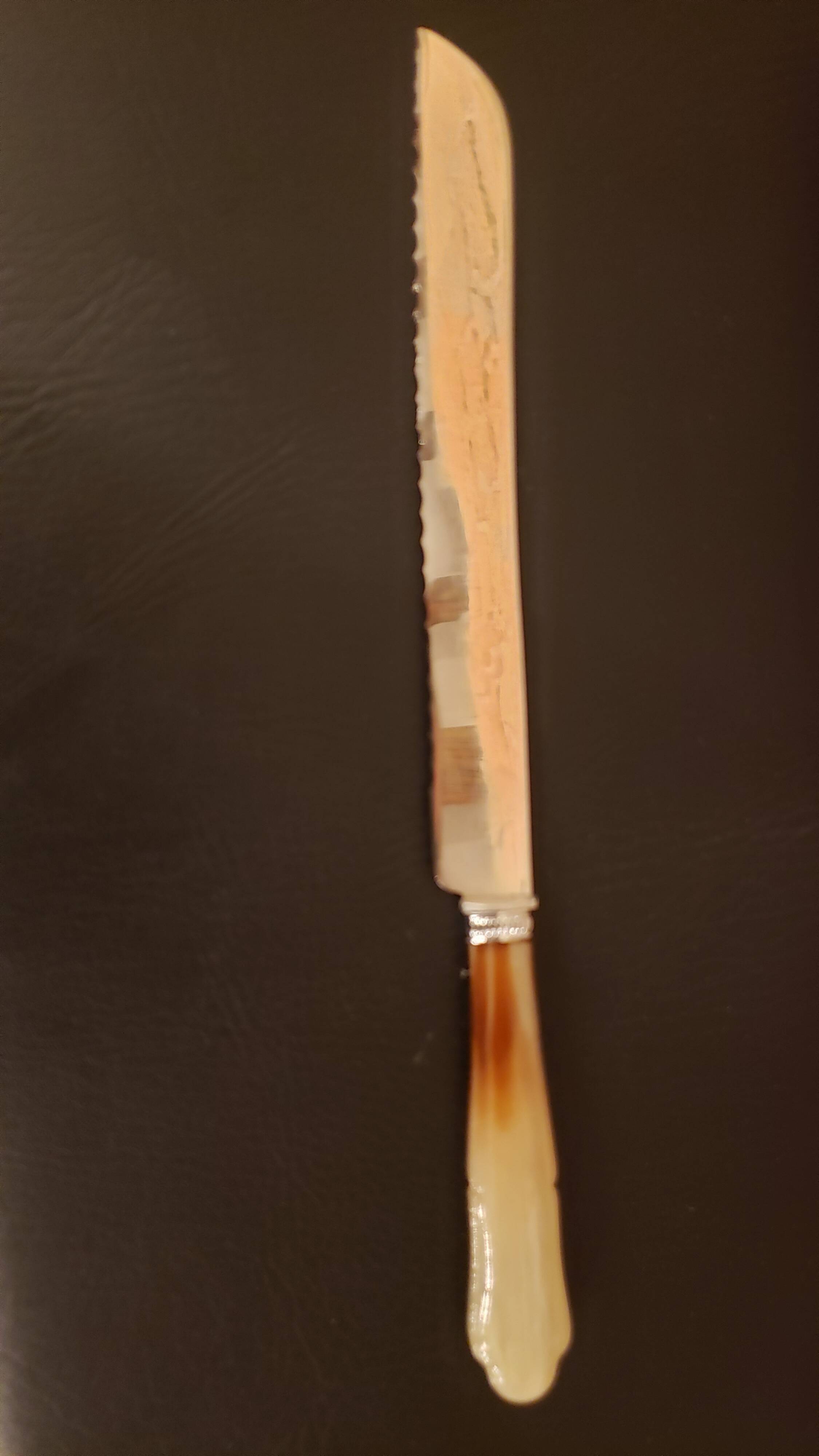 Serrated serving knife in its vintage case