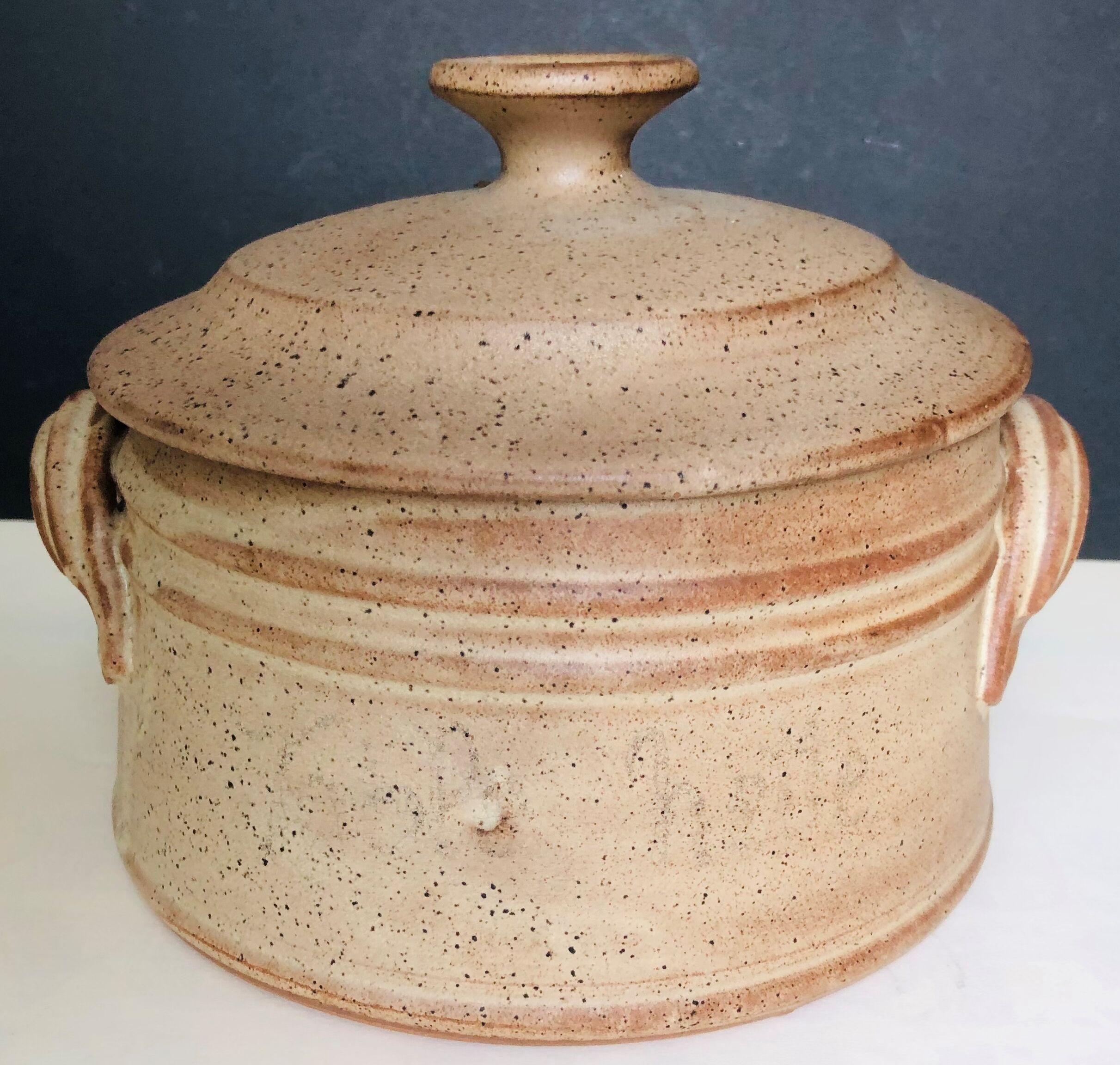 Covered terracotta pot