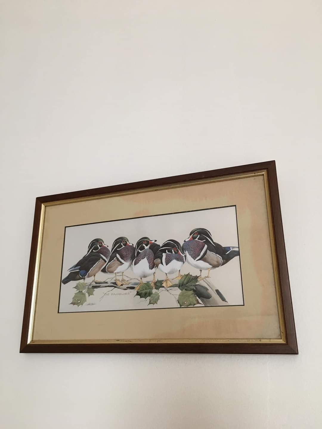 Painting of birds "the Bachelors" by Art Lamay. Impression of birds. Wooden frame and gilded edging