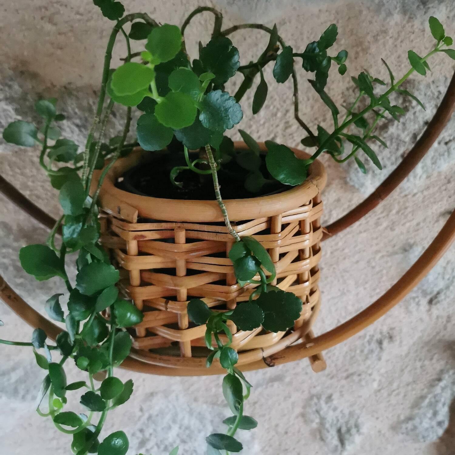 Vintage rattan plant holder and pot holder