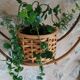 Vintage rattan plant holder and pot holder