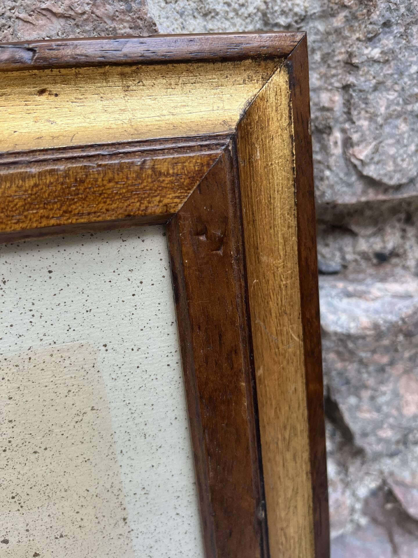 Framed ornithological engraving