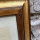 Framed ornithological engraving