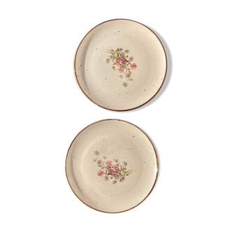 Two antique ceramic plates