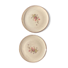 Two antique ceramic plates