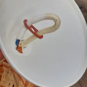 Suspension bell in rattan 3 colors, bohemian spirit seventies6