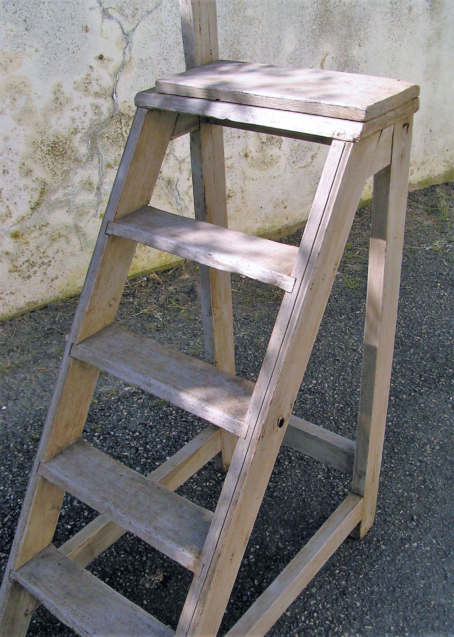 Library ladder