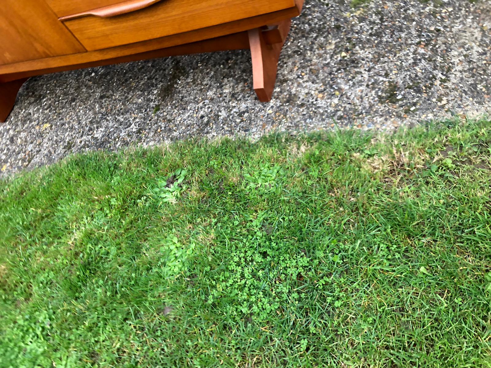 Scandinavian-style english line in teak