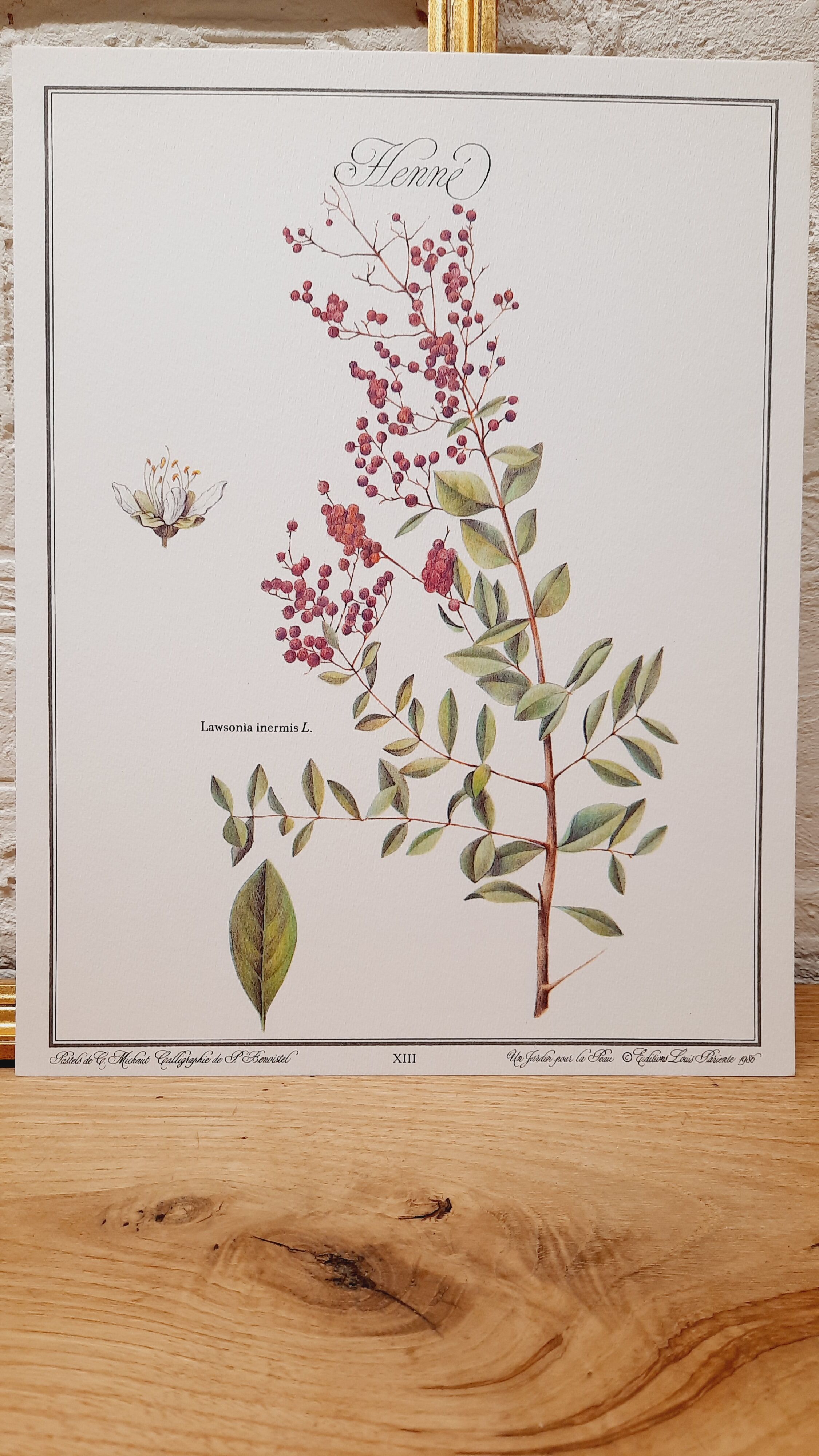 Botanical board Henna