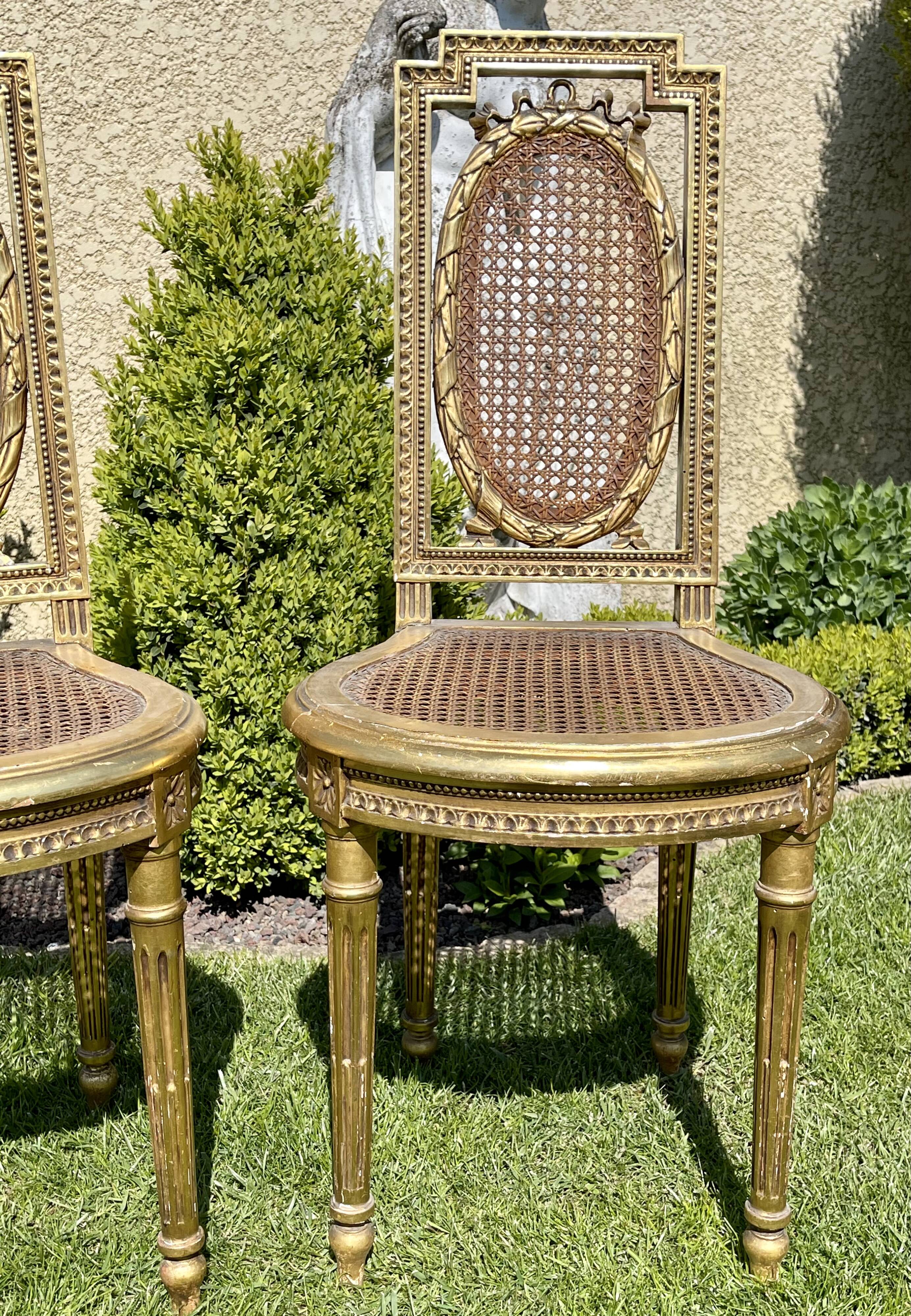Pair of Golden Wood Chairs - Louis XVI Style Cannage