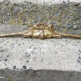 fronton ancien bronze
