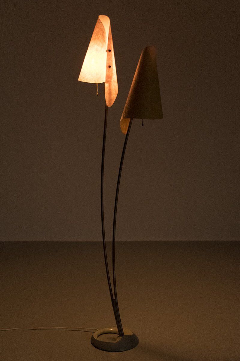 Organically Shaped Floor Lamp