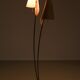 Organically Shaped Floor Lamp
