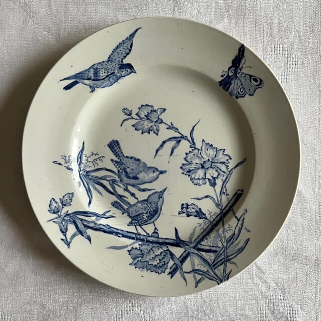 Set of 4 plates in iron earth, Aucella de Saint Amand