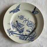 Set of 4 plates in iron earth, Aucella de Saint Amand