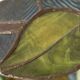 Tiffany-style floral stained glass pendant light in brass D40cm