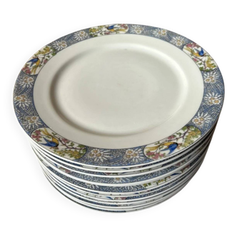 Set of twelve flat plates in Limoges porcelain, bird decoration, early 20th century.