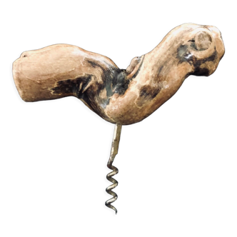 Corkscrew vine vine