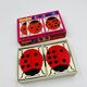 Ladybird dominoes Fernand Nathan vintage educational game