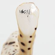 Hand‑Painted Ceramic Leopard Sculpture by Giovanni Rozan, Italy ca. 1950