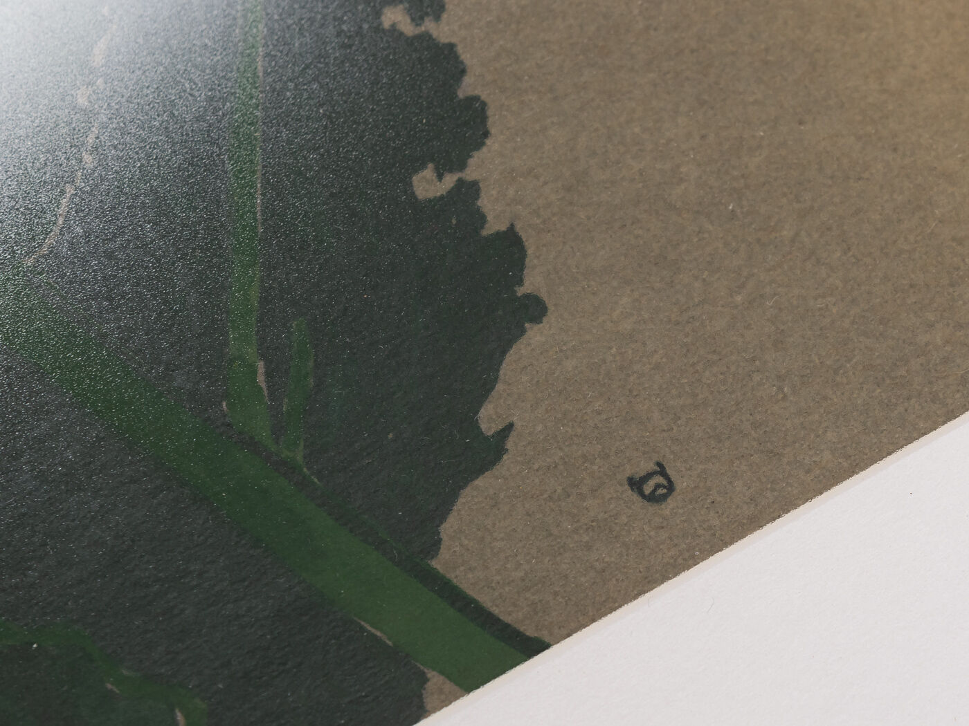 Poppy, Aquarelle on Paper, 42 x 52 cm