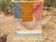 Multicolored handcrafted Berber wool rug, size 150 x 250 cm