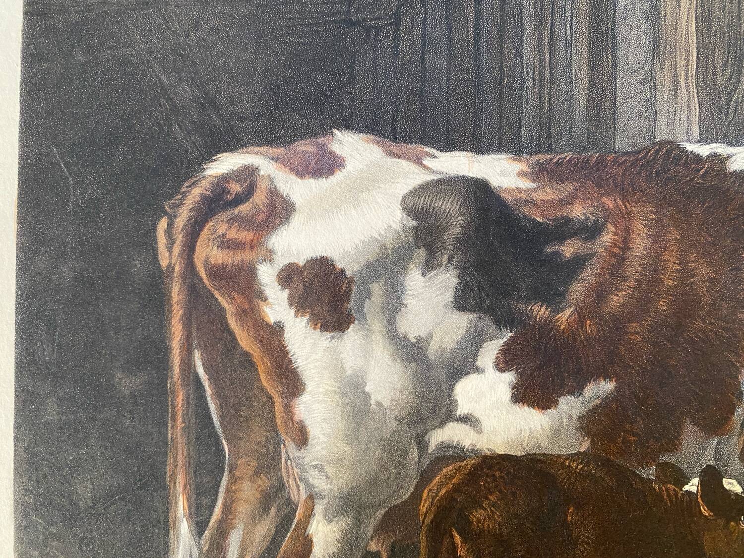 English colored engraving