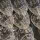 10 old port wine glasses in engraved art deco chiseled crystal
